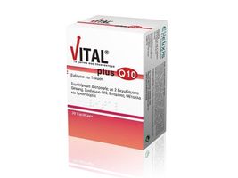 VITAL PLUS Q10 1 A DAY 30LIPID CAPS